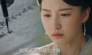 锦绣南歌陆婉儿和陆远介绍（锦绣南歌陆婉第几集下线）