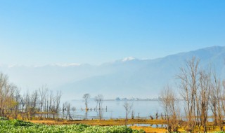 八月份旅游攻略云南（八月份云南旅游最佳地方）