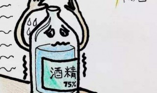 酒精正确的用法 酒精的正确用法是怎么用?