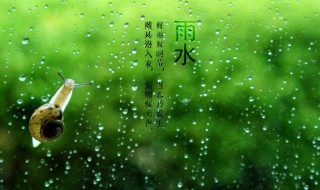 雨水节气推荐语（雨水节气语言）