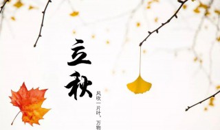 立秋节气文案（立秋节气文案宣传）