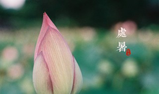 处暑节气祝福语（处暑节气祝福语大全）