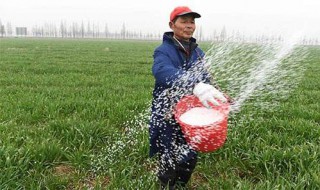 为什么农民老了没有退休（农民老了没有退休金令人担忧）