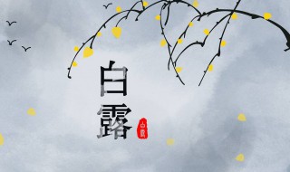 关于白露节气的知识（关于白露节气的知识演讲）