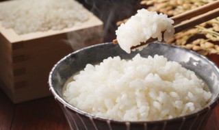 哪里的米更适合做米饭 什么地方大米做米饭好吃