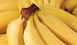 香蕉面膜的功效与作用 香蕉敷面膜的功效与作用是什么
