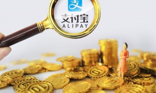 支付宝怎么提取公积金（支付宝怎么提取公积金的步骤）