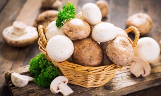 蘑菇和豆腐一起吃有毒吗 蘑菇和豆腐一起吃有毒吗会中毒吗