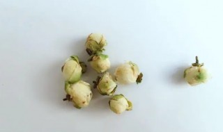 山茶花茶的功效和作用（山茶花茶的功效和作用禁忌）