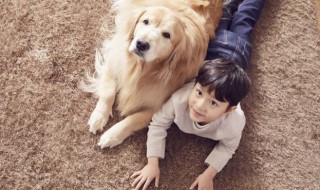 如何让爱犬减慢进食速度 幼犬进食太快怎么办