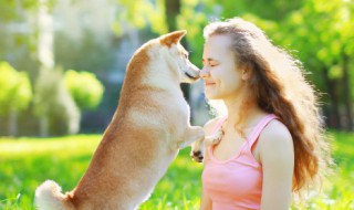 怎么确保爱犬产后健康（狗狗生产后如何护理）