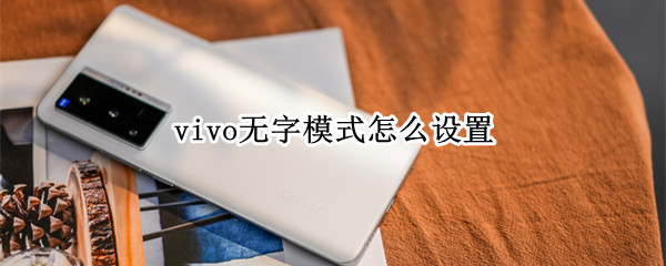 vivo无字模式怎么设置（vivo没有设置）