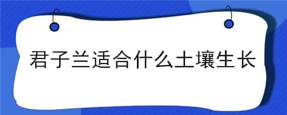 君子兰适合什么土壤生长 君子兰适应什么土壤栽培?