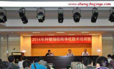 广东省：举行2014年种猪场疫病净化技术培训班