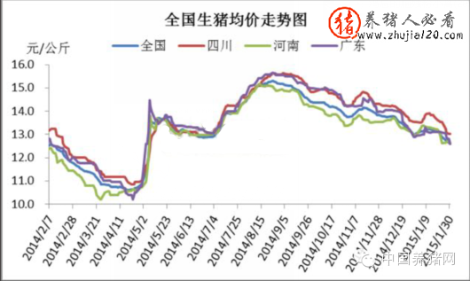 2015年1月国内生猪市场走势（2015年生猪价格走势图）