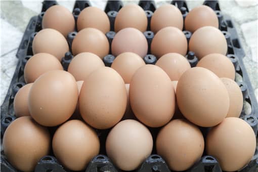 2021全国鸡蛋最新价格行情