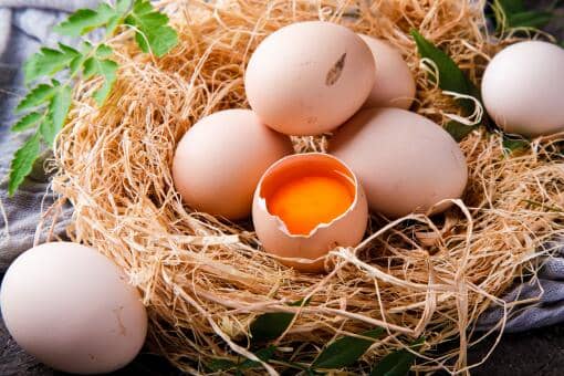 2021全国鸡蛋最新价格行情：今日价多少钱一斤？9月会涨吗？