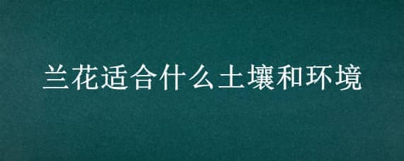 兰花适合什么土壤和环境