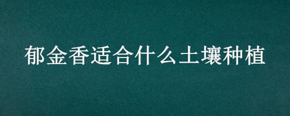 郁金香适合什么土壤种植