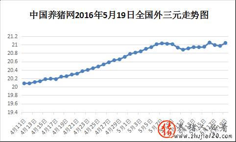 中国2016年5月19日全国外三元均价走势图