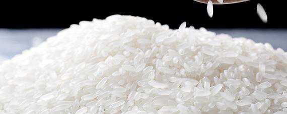 稻米品质指标有哪六个（稻米按品质可分为哪三种）