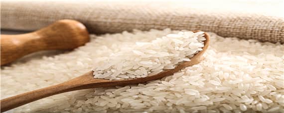 大米的种植过程是什么