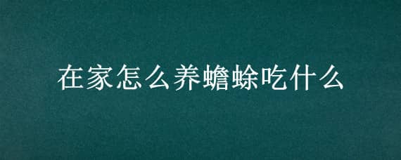 在家怎么养蟾蜍吃什么 在家怎么养蟾蜍吃什么药