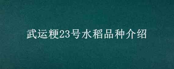 武运粳23号水稻品种介绍 绥粳22水稻品种