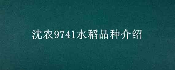 沈农9741水稻品种介绍（沈农988稻种）