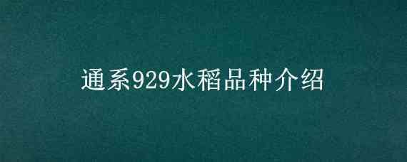 通系929水稻品种介绍