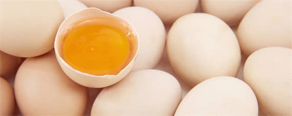 鸡蛋壳是什么肥料（炒熟的鸡蛋壳是什么肥料）