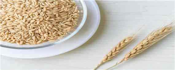 辛硫磷拌小麦种子怎样用 小麦拌种用辛硫磷最大用量是多少