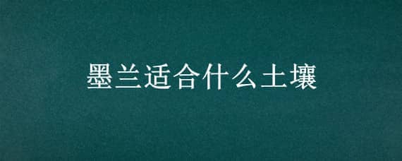 墨兰适合什么土壤 墨兰适合什么样的土壤