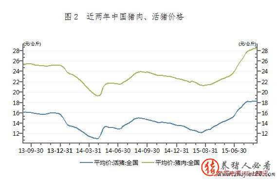 猪肉供需现状（2019猪肉的供给与需求）