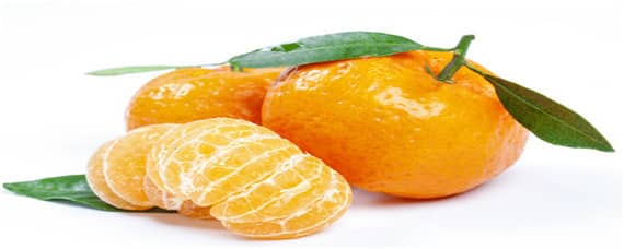 中国柑橘的经济栽培区集中在