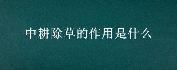 中耕除草的作用是什么 中耕除草的作用是什么意思