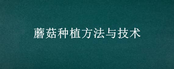 蘑菇种植方法与技术