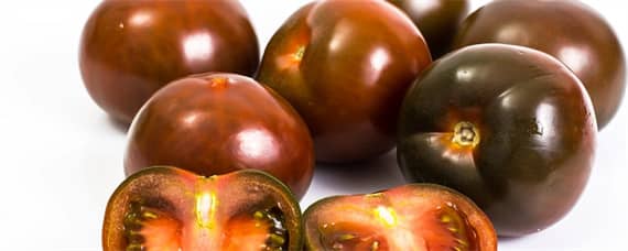 黑番茄的种植条件 黑柿子种植条件