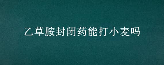 乙草胺封闭药能打小麦吗