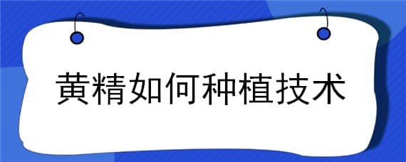 黄精如何种植技术 黄精如何种植?