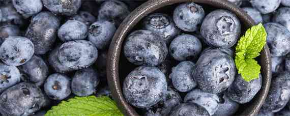 蓝莓种植需要什么条件