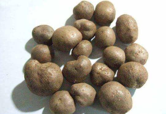 山药豆的功效与作用 吃山药豆的好处