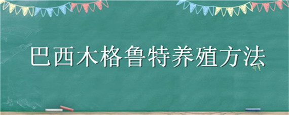 巴西木格鲁特养殖方法（巴西木格鲁特怎么养殖）