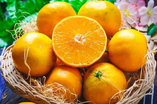 橙子是什么水果杂交出来的 橙子杂交的水果有哪些