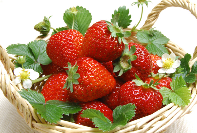 草莓的种类有哪些，有什么不同的优点