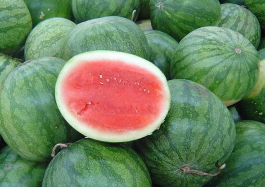 西瓜子种下后多久可以发芽出苗，西瓜好养吗，怎么养殖