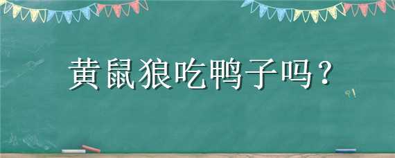 黄鼠狼吃鸭子吗（黄鼠狼吃鸭子吗?）