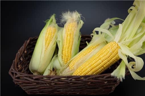 玉米每吨上涨400元