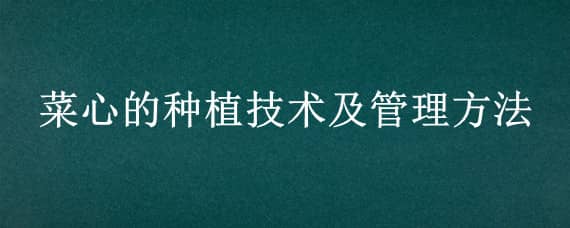 菜心的种植技术及管理方法 菜心种植技术和管理