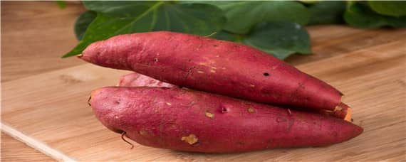 红薯膨大期施什么肥